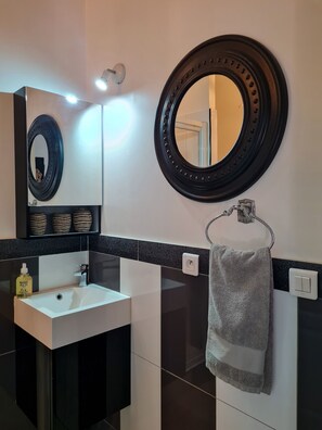 シャワー、ヘアドライヤー、タオル、トイレットペーパー