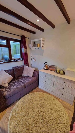 TV connectée, cheminée, lecteur de DVD, livres