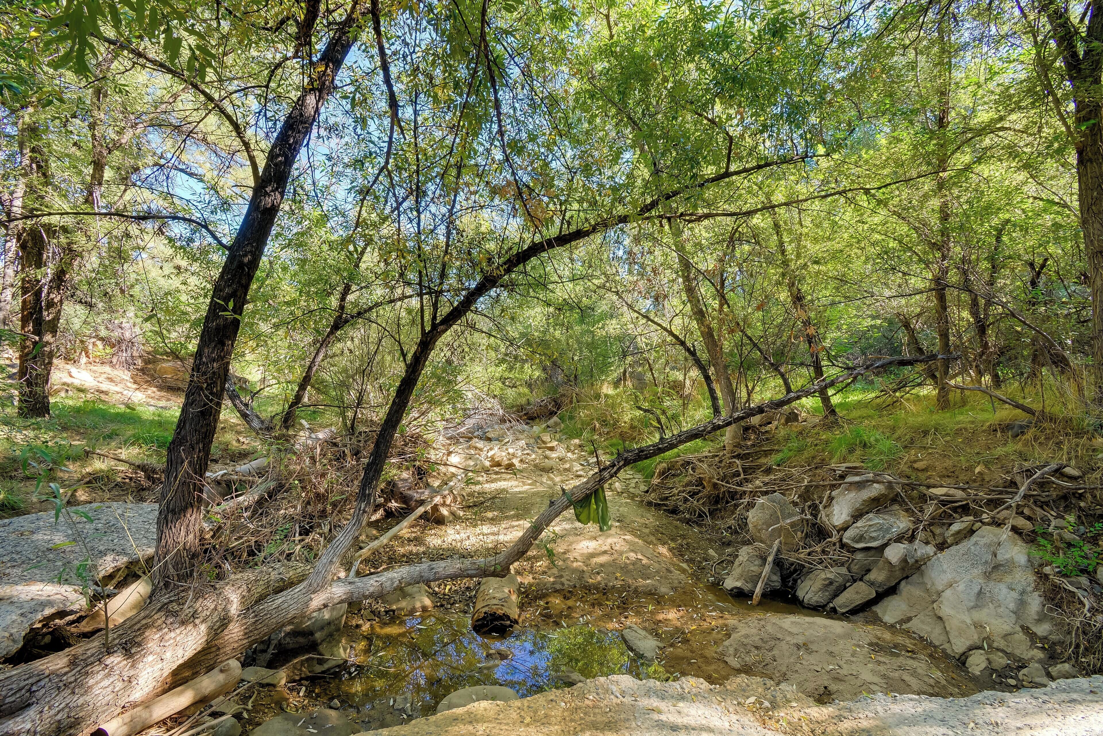 A natural outdoor setting with a stream, rocks, and trees.