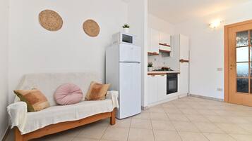 Basic Apartment | Living area | 49-inch Smart TV with cable channels