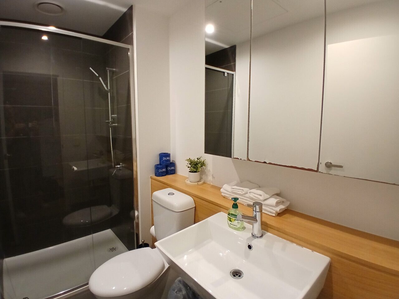 A modern bathroom with a glass shower enclosure, a white toilet, a sink with a mirror, and a wooden countertop.