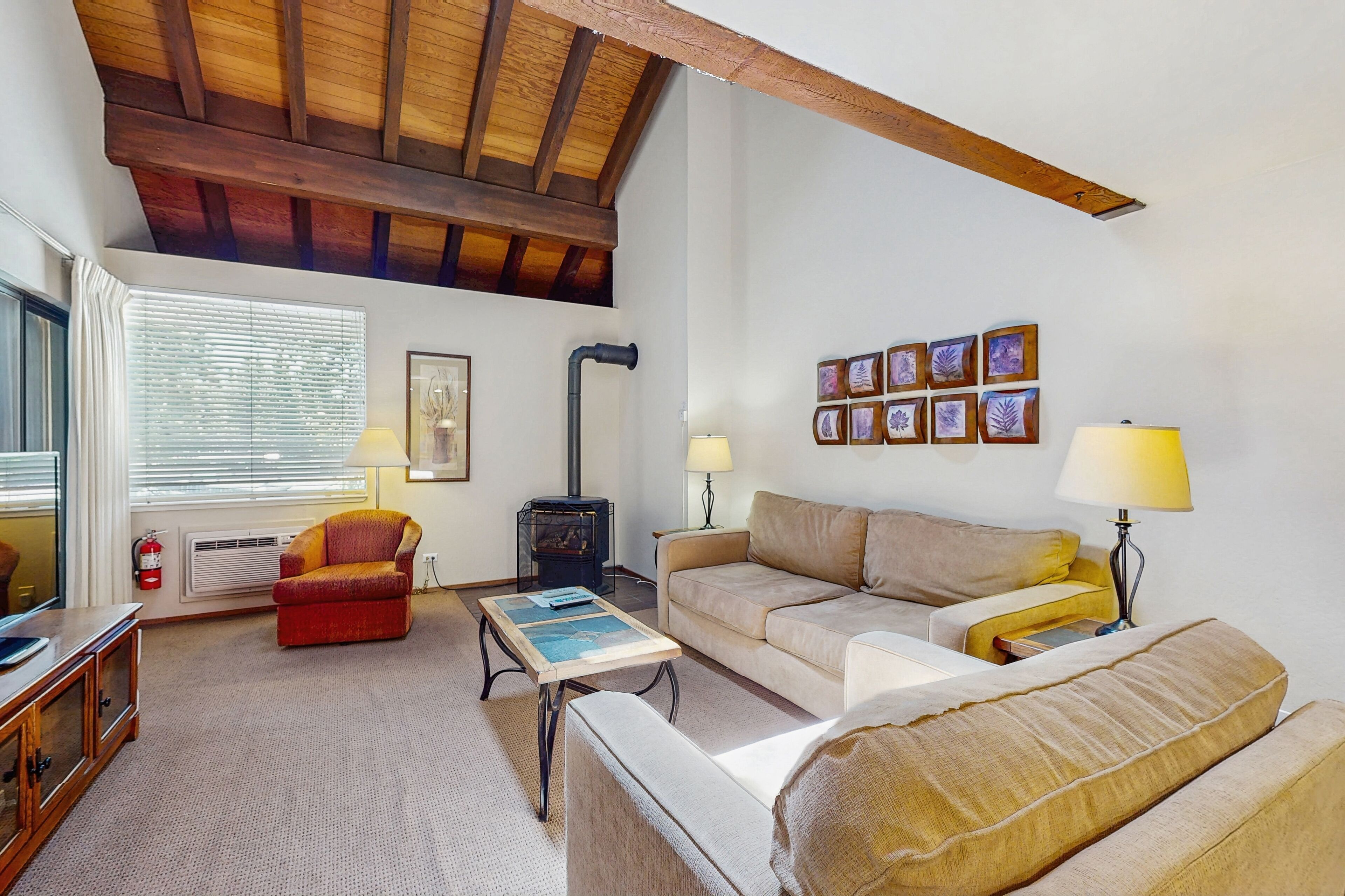 Télévision, cheminée, lecteur de DVD, livres