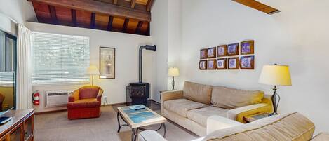 Télévision, cheminée, lecteur de DVD, livres