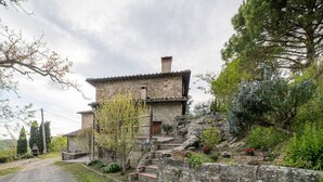 Ein Haus aus Stein mit einem geneigten Dach, einer kleinen Treppe zum Eingang und einem Garten mit verschiedenen Pflanzen und Blumen.