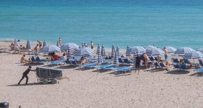 Amazing Apt w/Kitchen 1B/1B and Beach Service