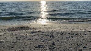 A beach with the sun reflecting on the water, a clear sky, and a sandy shore. - Beachfront Condo in Fort Myers Beach (Fort Myers Beach)