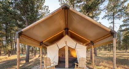 Plush canvas tent in the forest