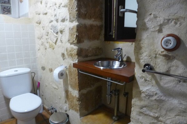 A small bathroom with a white toilet, a sink with a wooden countertop, and a mirror above the sink.