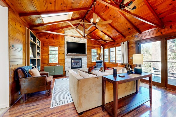 TV, fireplace, books