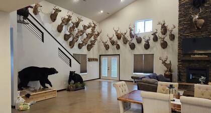 Spacious modern lodge outside of city