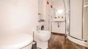 Shower, hair dryer, bidet, towels