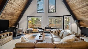 Télévision, cheminée, espaces bureaux