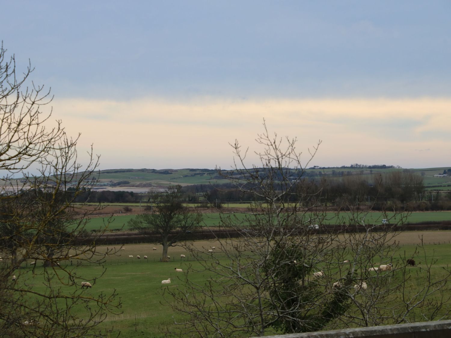 Un paisaje rural con un campo de ovejas y una vista distante de colinas ondulantes.