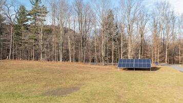 Une installation de panneaux solaires dans une zone herbeuse, avec des arbres en arrière-plan.