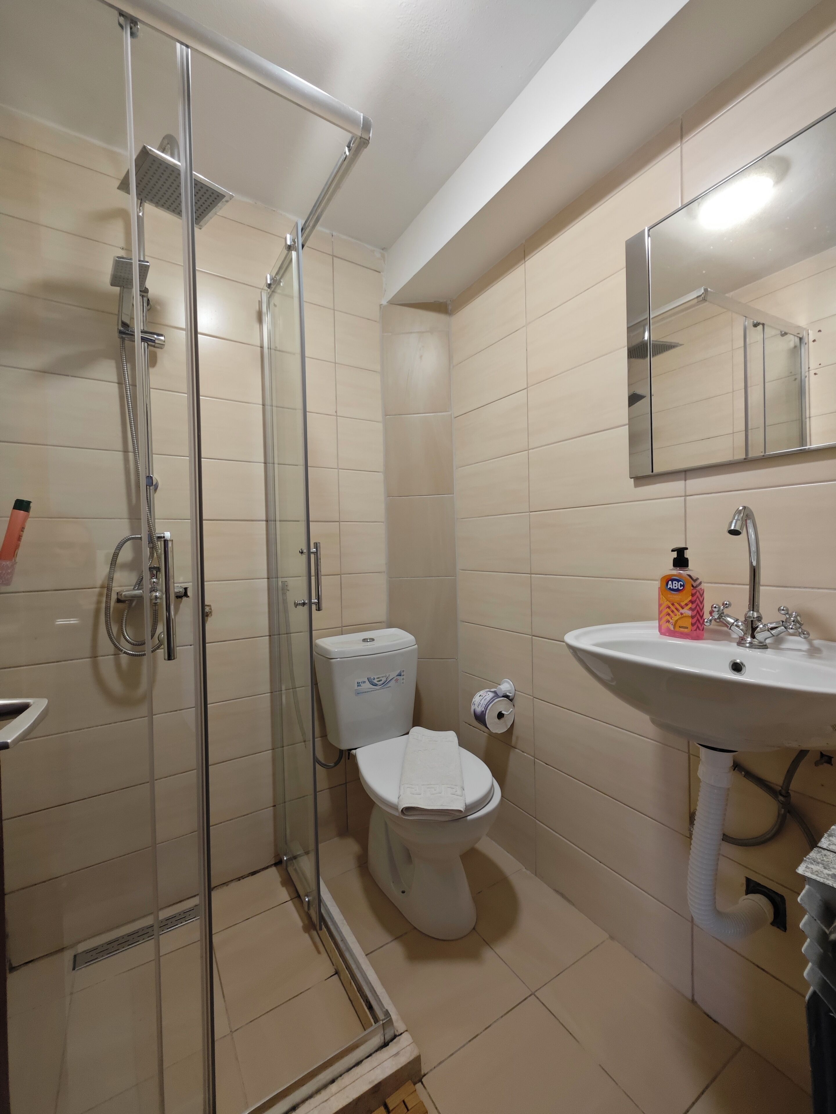 A bathroom with a glass-enclosed shower, a toilet, and a sink with a mirror above it.