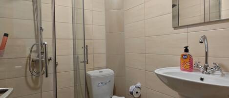A bathroom with a glass-enclosed shower, a toilet, and a sink with a mirror above it.
