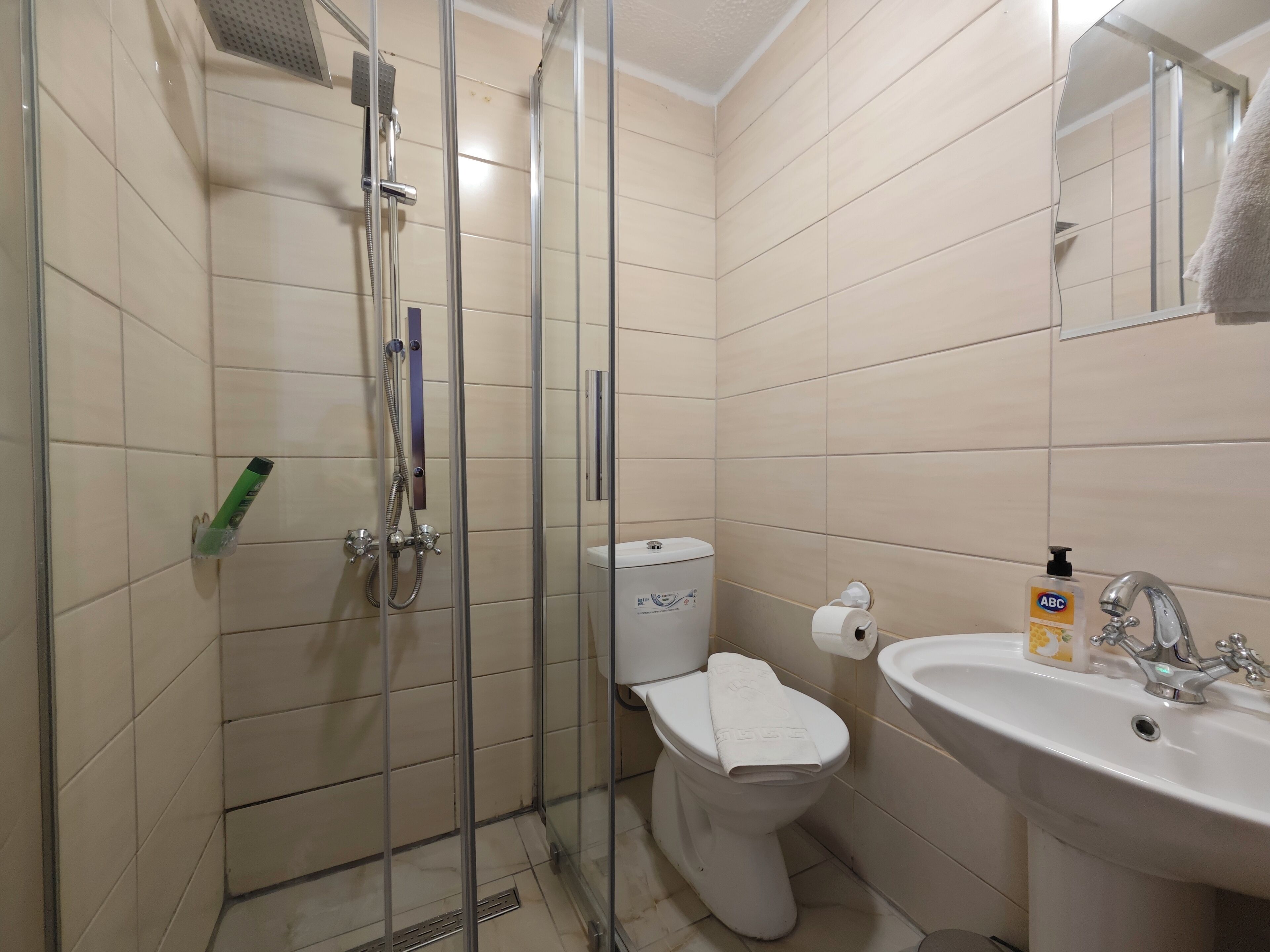 A bathroom with a glass-enclosed shower, a toilet, and a sink with a mirror above it.