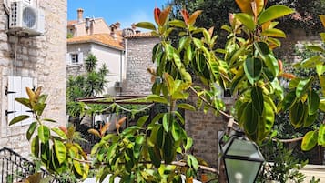 Vista desde la propiedad