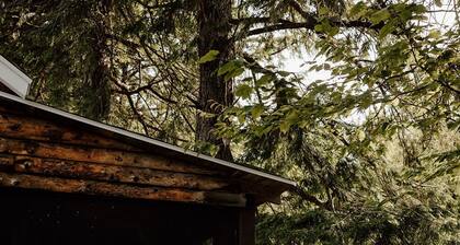 THE RIVER OTTER PARADISE GETAWAY at the PEMICABINS