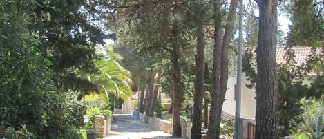 Terrein van de accommodatie