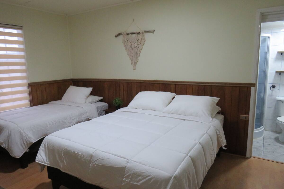 Basic Triple Room