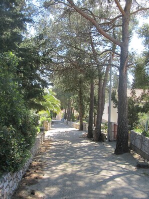 Terrein van de accommodatie