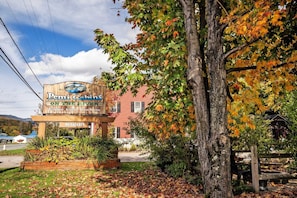 Dettaglio esterni
