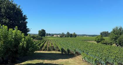 Le Clos gîte, a pleasant place to live just 3 minutes from the heart of Saint-Émilion.