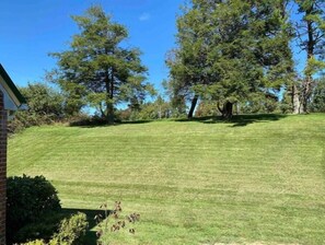 Terrain de l’hébergement 