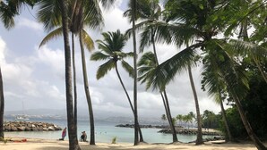 Ein Strand mit Palmen, einem sandigen Ufer und Blick auf das Meer und entfernte Gebäude.