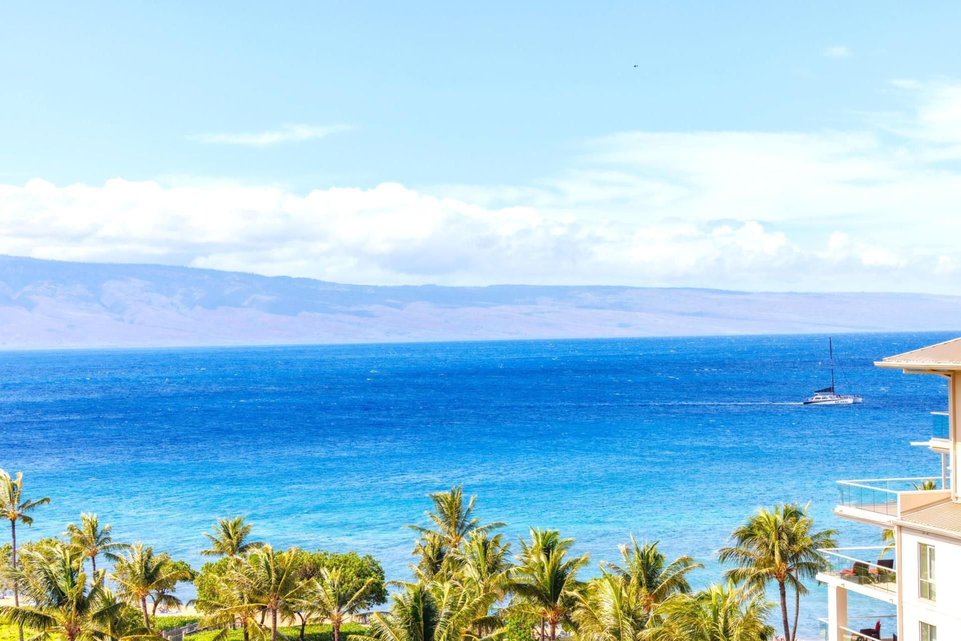 A coastal view with a clear blue sea, palm trees, and a distant mountain range.
