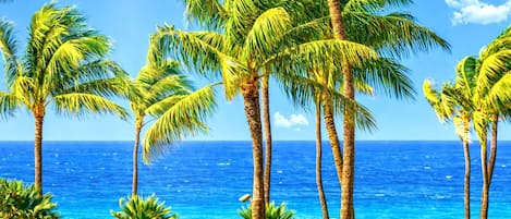 Leilighet (2 Bedrooms HKK-213) | Fasade