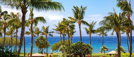 コンドミニアム (2 Bedrooms HKK-213) | 施設の正面