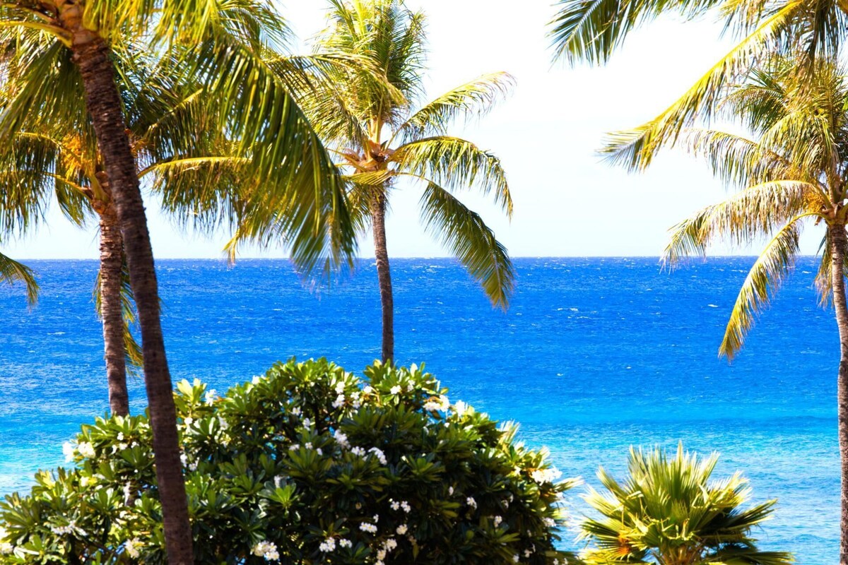 Une scène de plage tropicale avec des palmiers et une vue sur l’océan.