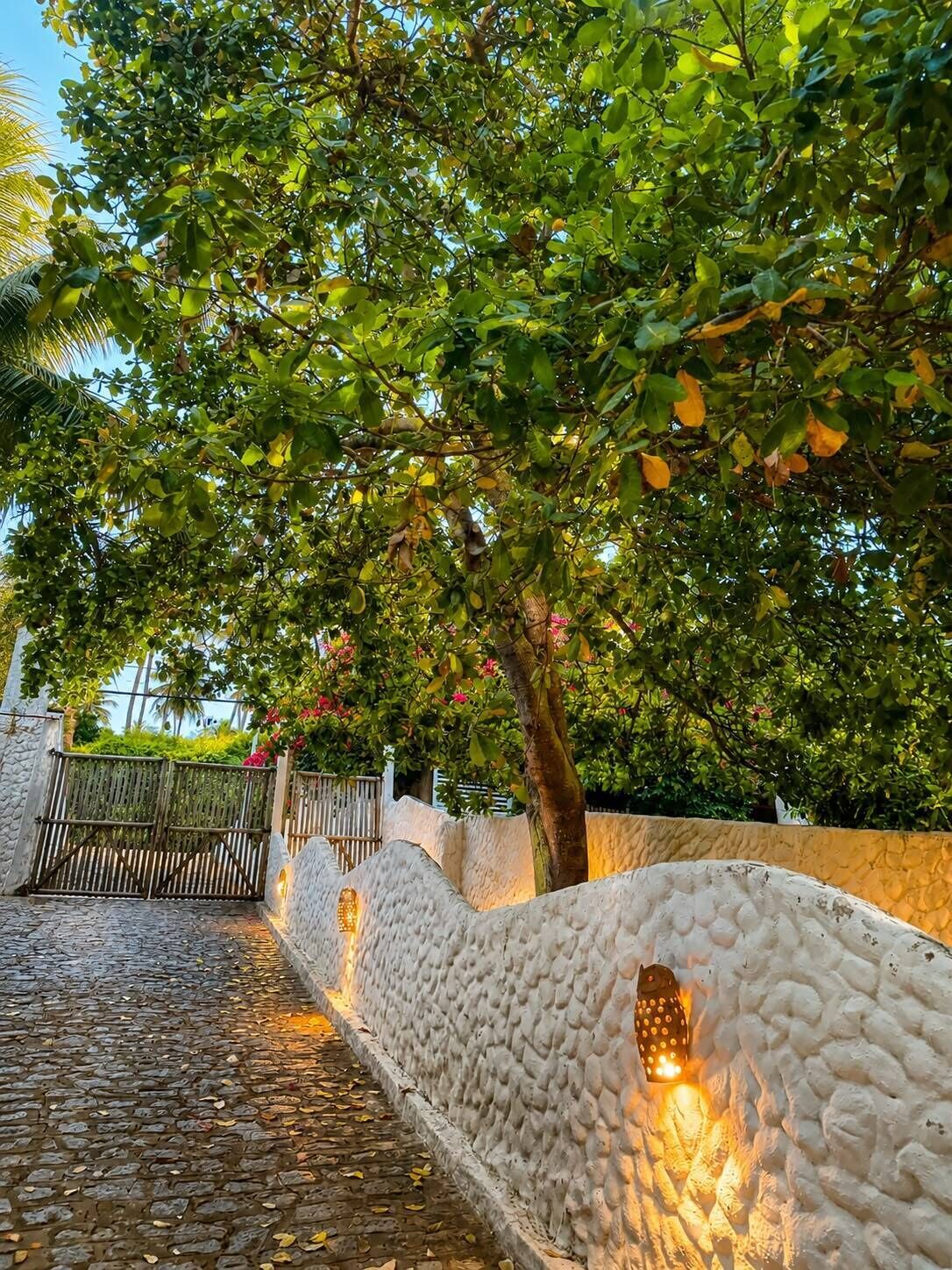 Un sentier pavé de pierres menant à une entrée fermée par un portail, avec un mur à la texture particulière et un arbre offrant de l’ombre.