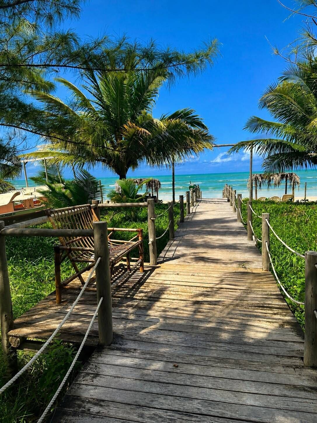 Een houten looppad dat naar een strand leidt, met palmbomen en een helderblauwe lucht.