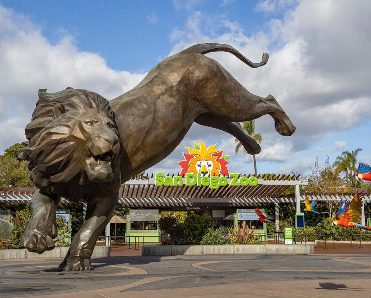 A large bronze lion statue in front of the San Diego Zoo entrance.