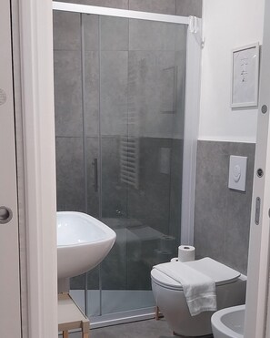 Shower, hair dryer, bidet, towels