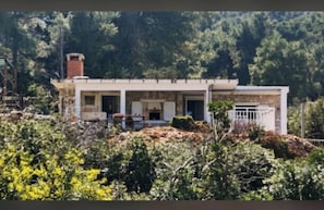 Een gelijkvloers huis met een veranda, omgeven door weelderige begroeiing.