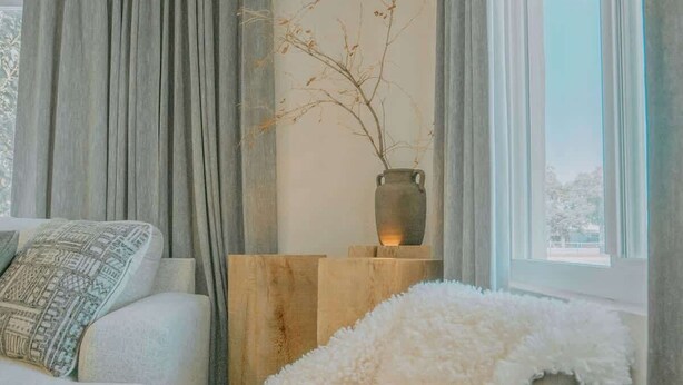 Uma sala de estar moderna com sofá, mesa de centro e planta decorativa.