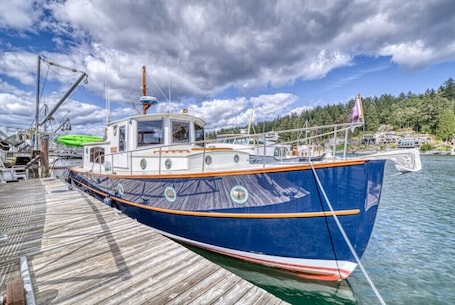 Marina. 38' Yacht equipped with luxury and kayaks!