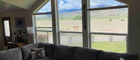 Smart TV, DVD player