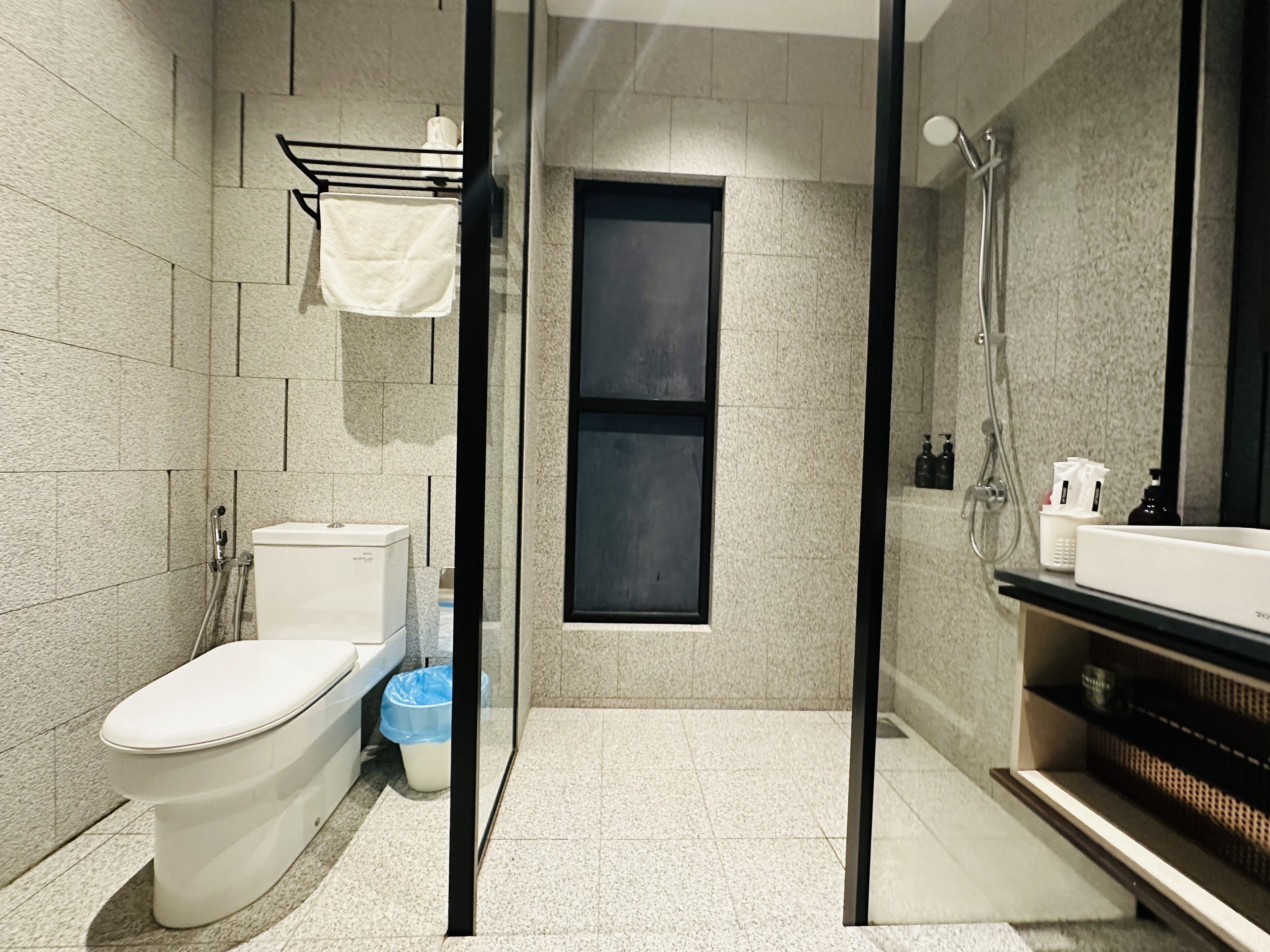 Ein modernes Badezimmer mit Toilette, Bidet und Duschbereich.