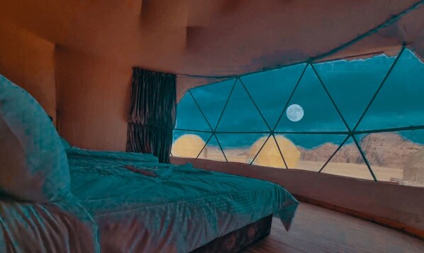 Double Room, 1 Queen Bed