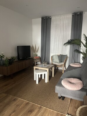 Fernseher