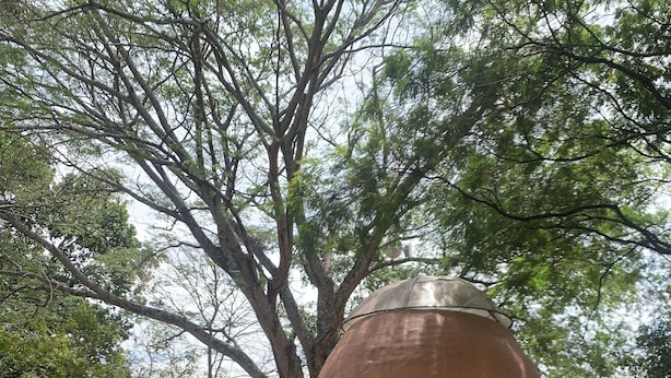 Uma cabana cônica com uma porta pequena e uma janela, cercada por árvores e chão de terra.
