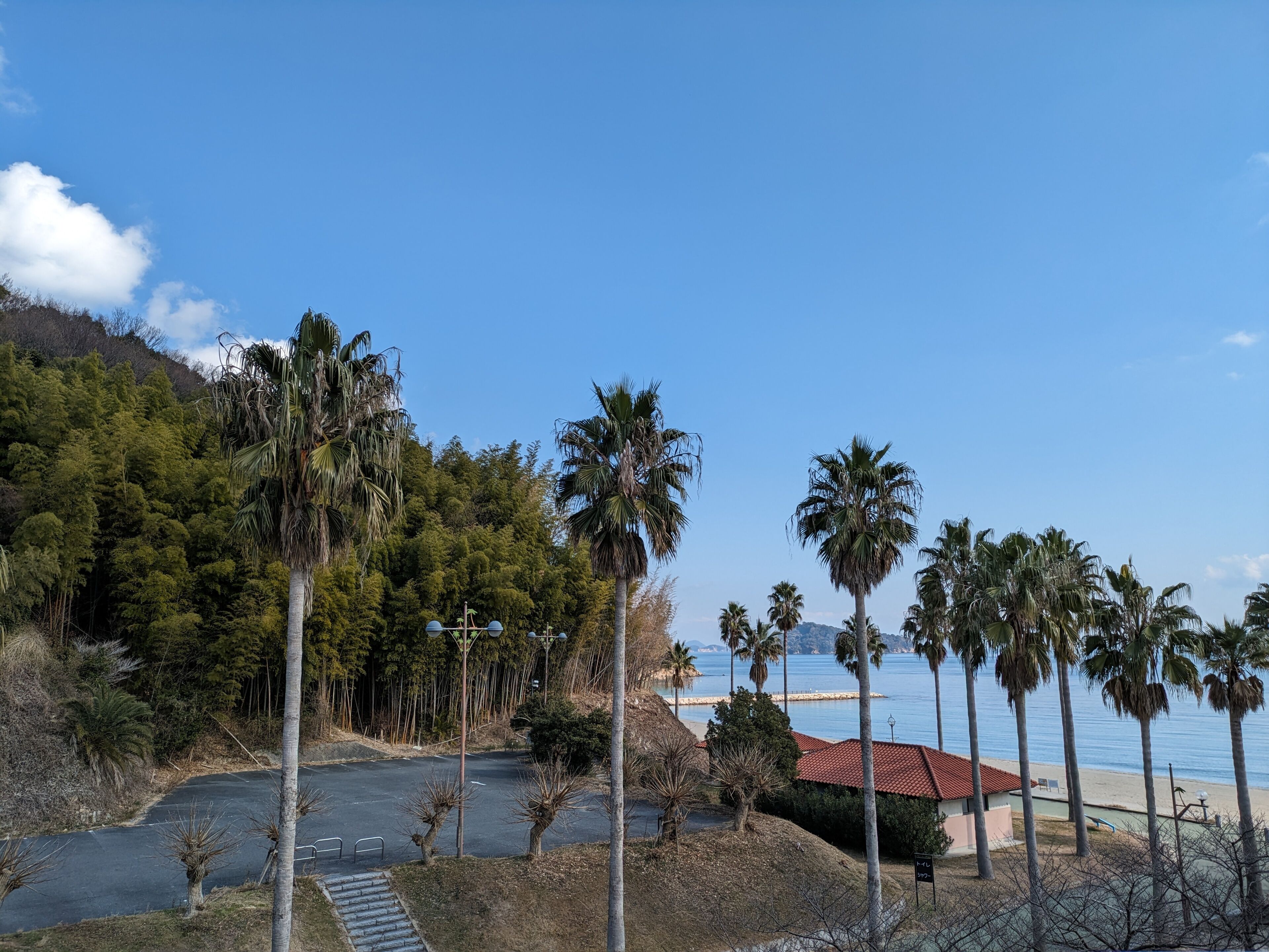 Zona costera con palmeras, una playa y un edificio de techo rojo.