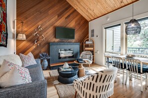 TV connectée, cheminée, livres