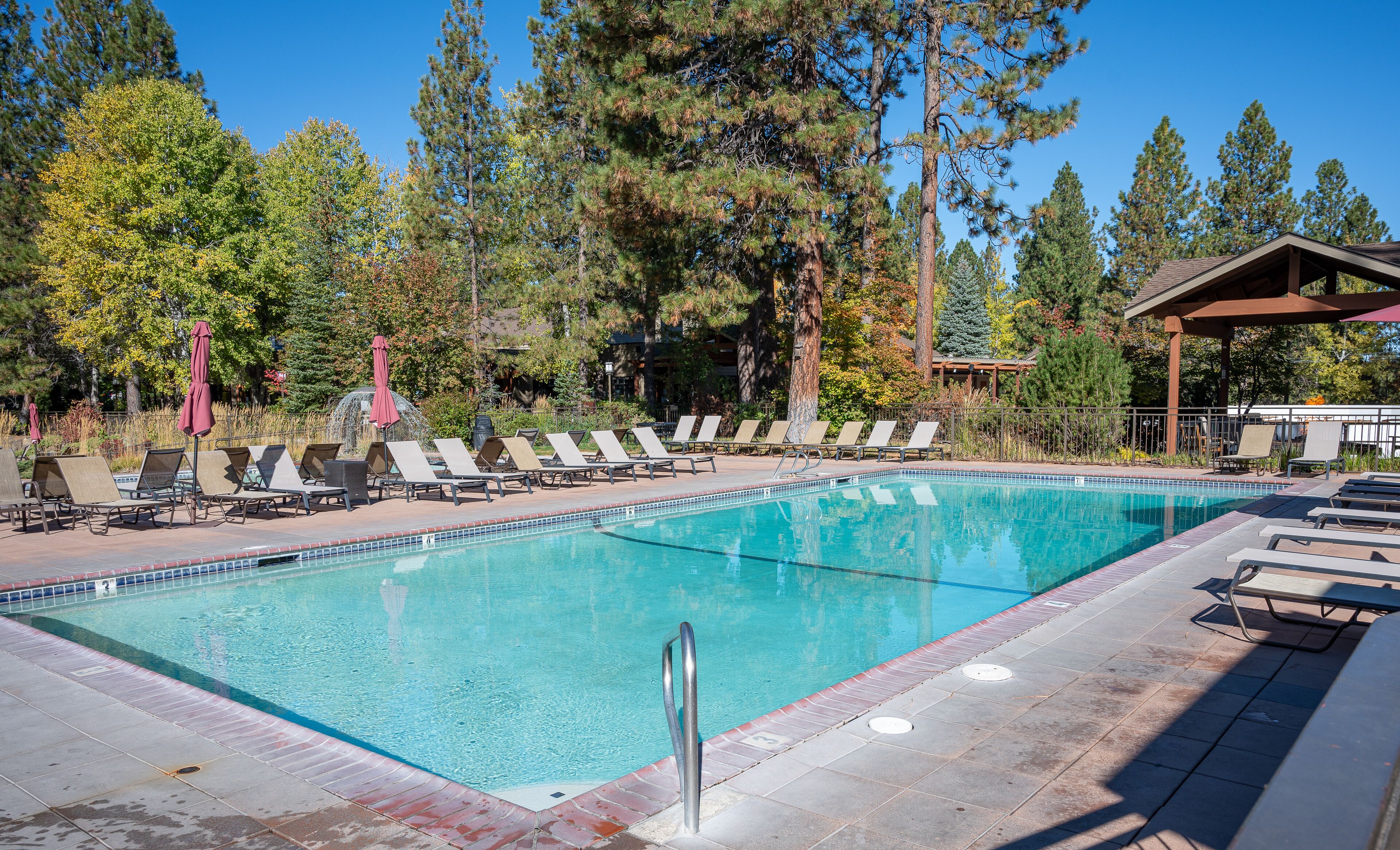 Une piscine entourée d’arbres, avec des chaises longues et des parasols.