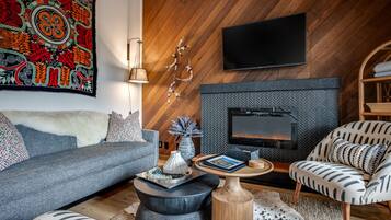 Smart TV, fireplace, books